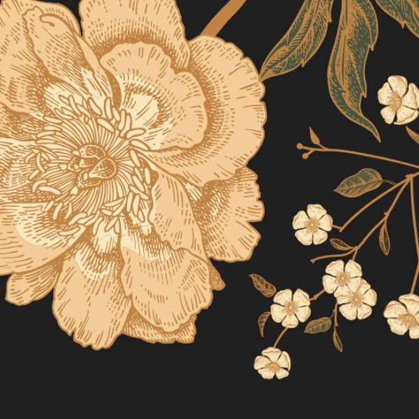 Le Jardin - restaurant LILLERS - Restaurant Saint-venant